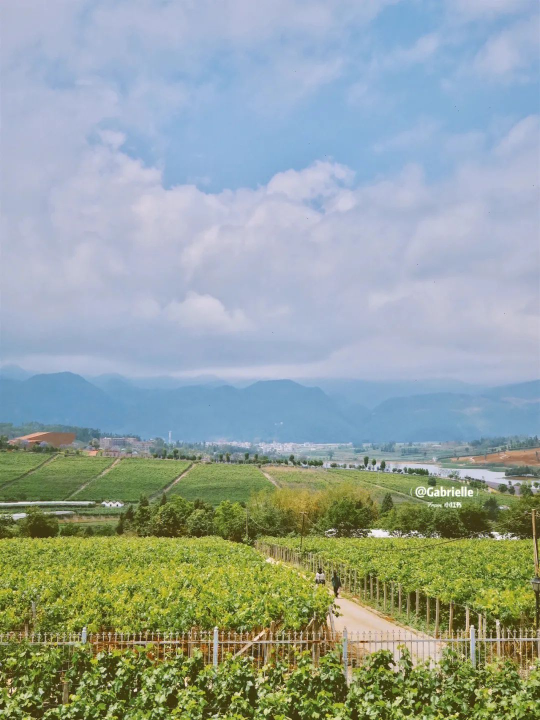 Image related to Mile: A Divine Town Sharing Buddha's Name! Winter at 22°C + Decade-Old Prices, Living a Moroccan Dream in Dongfengyun