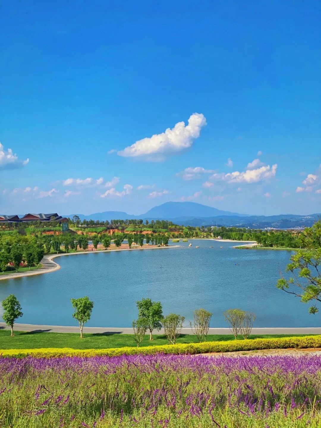 Image related to Mile: A Divine Town Sharing Buddha's Name! Winter at 22°C + Decade-Old Prices, Living a Moroccan Dream in Dongfengyun