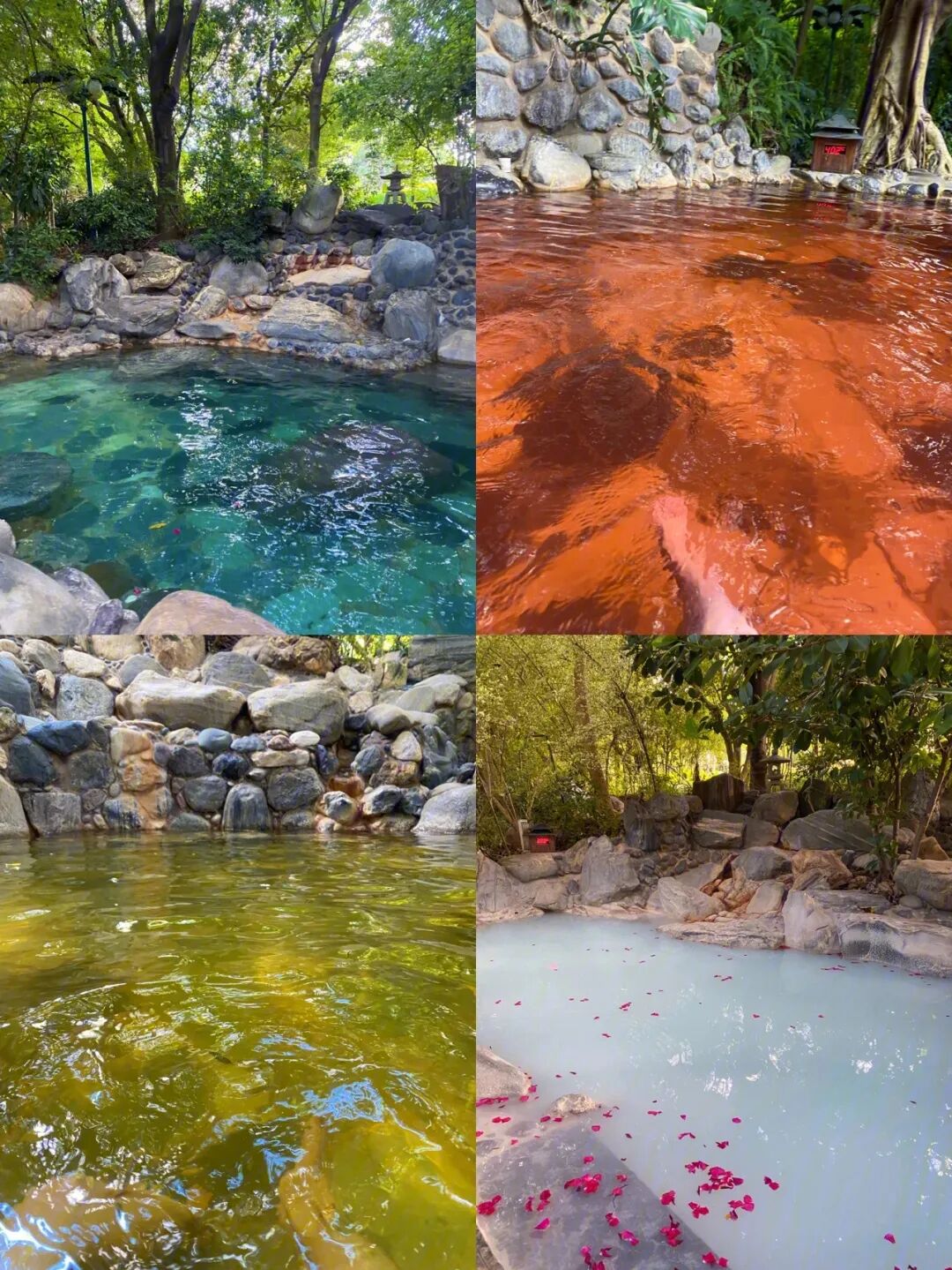 Image related to Mile: A Divine Town Sharing Buddha's Name! Winter at 22°C + Decade-Old Prices, Living a Moroccan Dream in Dongfengyun