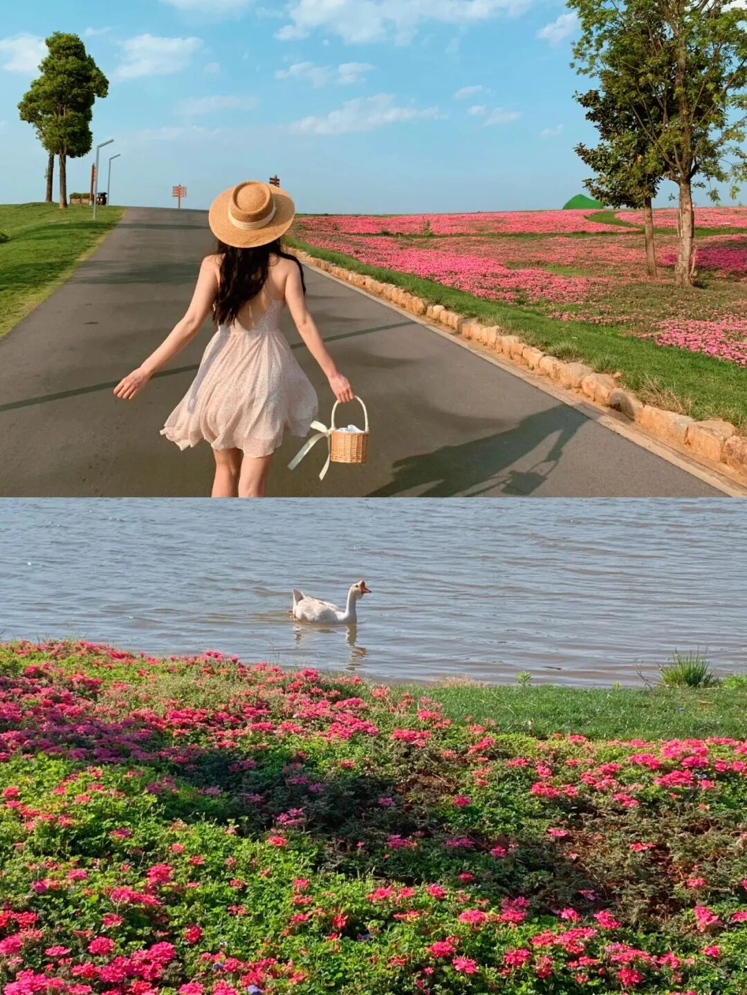 Image related to Mile: A Divine Town Sharing Buddha's Name! Winter at 22°C + Decade-Old Prices, Living a Moroccan Dream in Dongfengyun