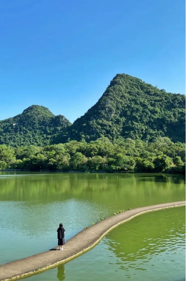 Image related to Liuzhou: Home of Luosifen! This Bowl of Noodles Conquers the World, with Scenery Rivaling Guilin Yet Unknown to Many