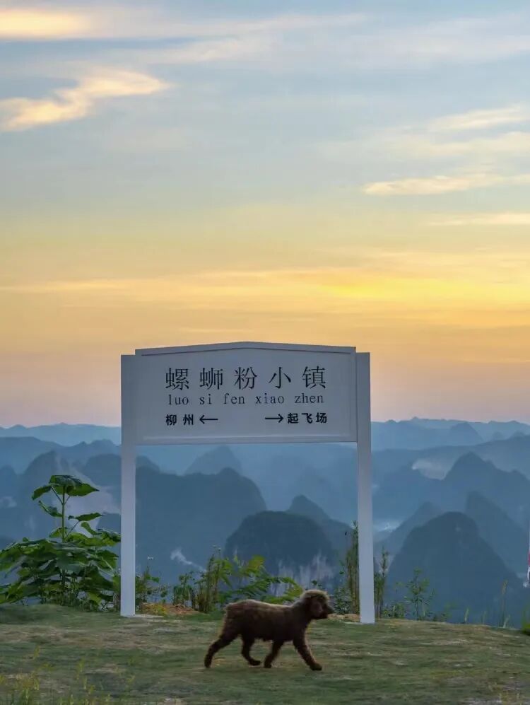 Image related to Liuzhou: Home of Luosifen! This Bowl of Noodles Conquers the World, with Scenery Rivaling Guilin Yet Unknown to Many