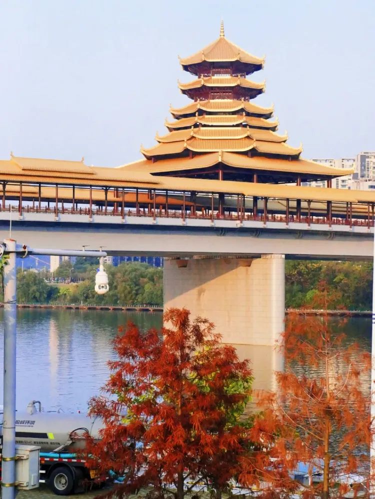 Image related to Liuzhou: Home of Luosifen! This Bowl of Noodles Conquers the World, with Scenery Rivaling Guilin Yet Unknown to Many