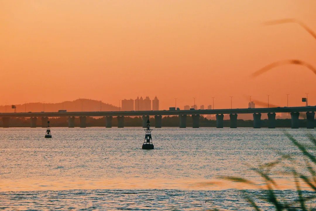Image related to Hengqin Island in Zhuhai: A Dreamier Escape Than Disneyland! Hot Springs Amidst Flower Fields and Ocean Parks—Endless Fun in One Trip