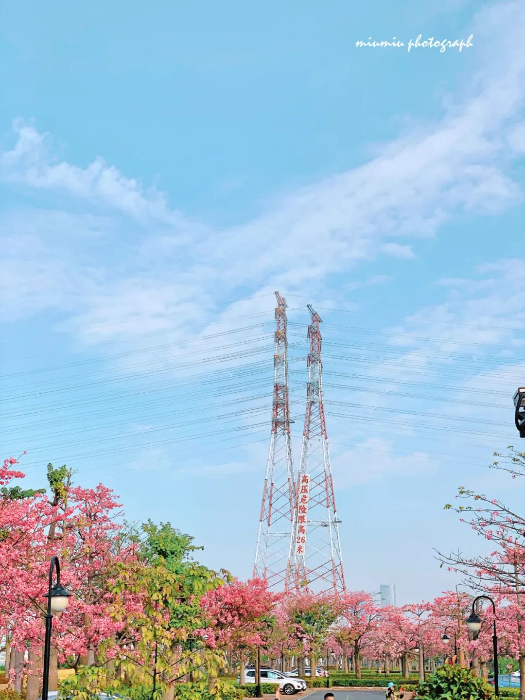 Image related to Hengqin Island in Zhuhai: A Dreamier Escape Than Disneyland! Hot Springs Amidst Flower Fields and Ocean Parks—Endless Fun in One Trip