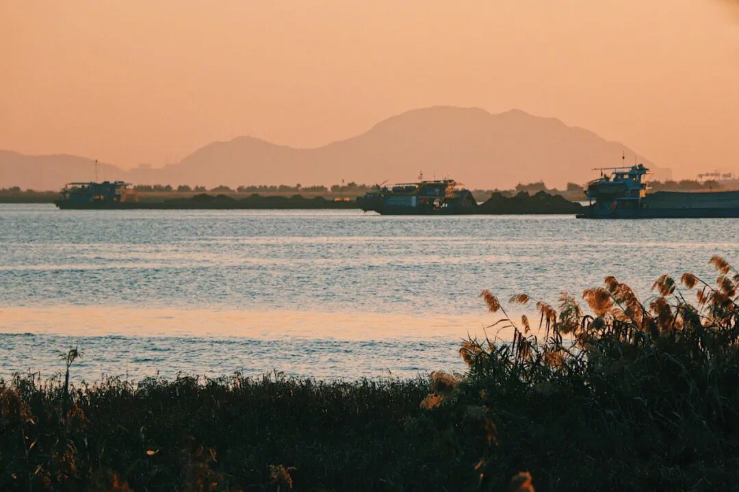Image related to Hengqin Island in Zhuhai: A Dreamier Escape Than Disneyland! Hot Springs Amidst Flower Fields and Ocean Parks—Endless Fun in One Trip