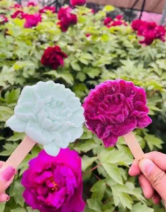 Image related to Luoyang: Ancient Capital Adorned with Fragrant Peonies, Recommended by China's Foreign Ministry to the World