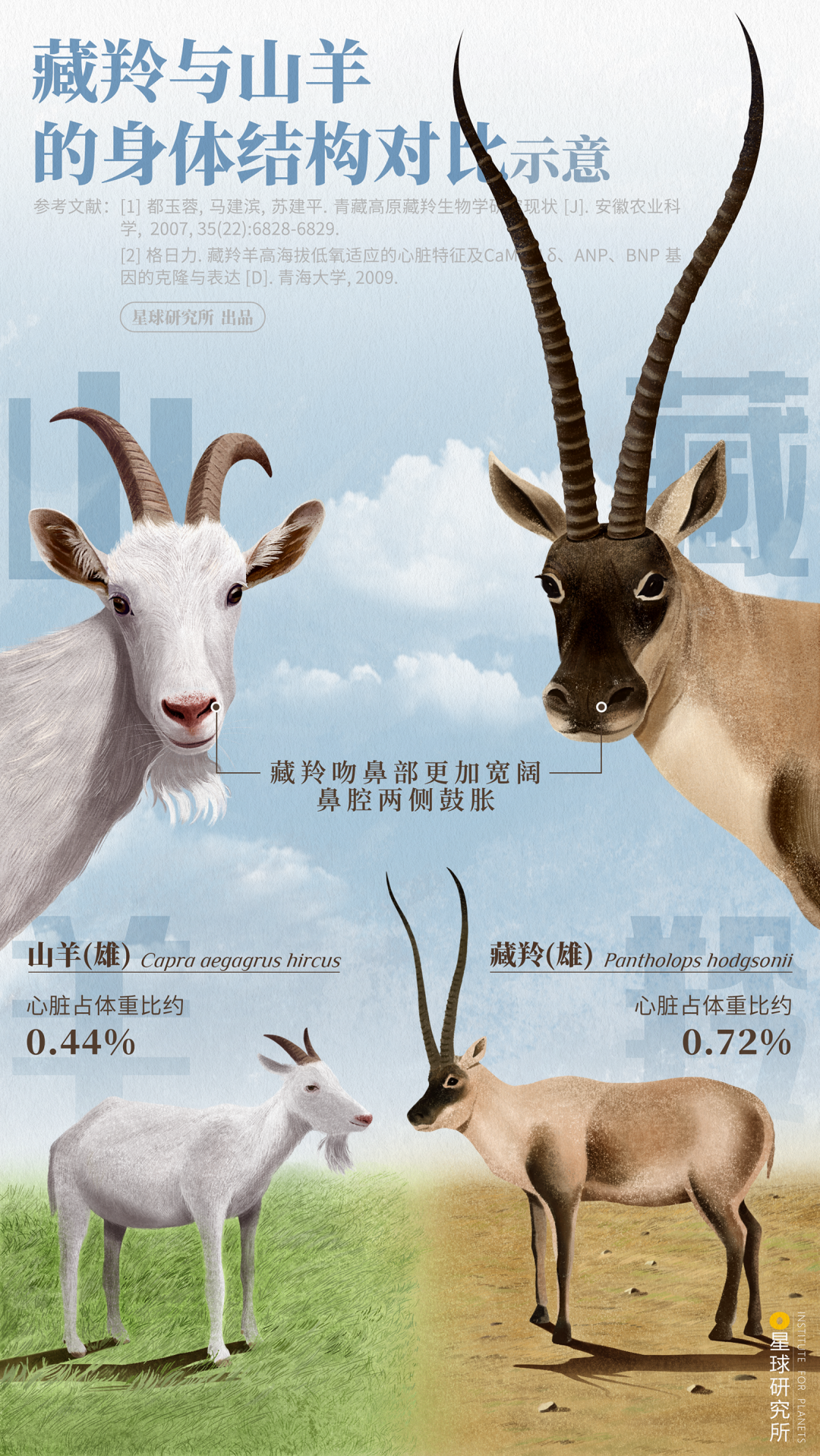Image related to Altun Mountains: China's Most Obscure No Man's Land!