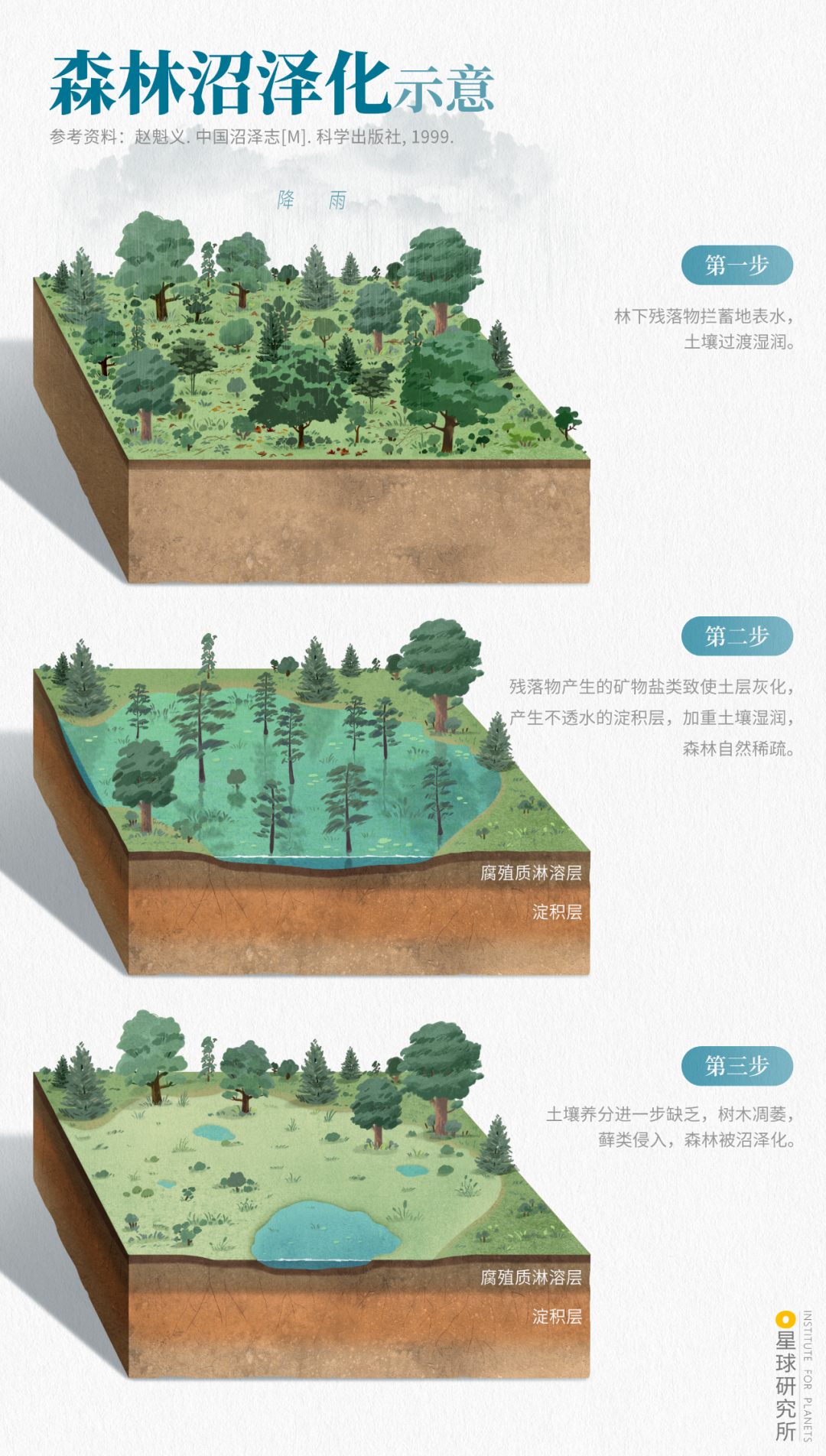 Image related to Explore China's Wetlands: A Journey Through Nature's Wonders