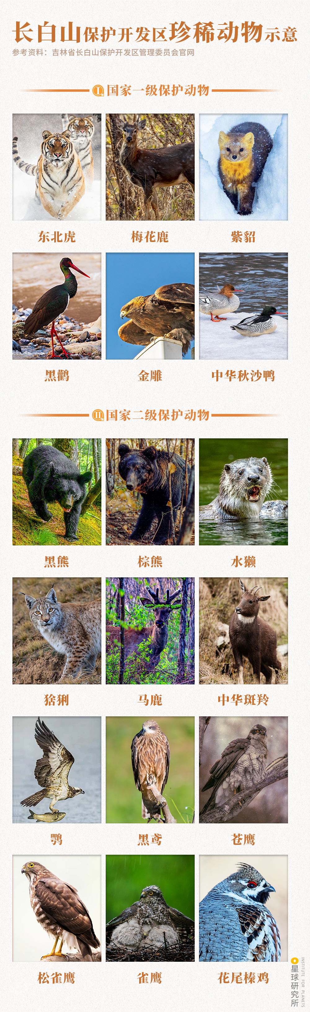 Image related to Who Reigns as China's Volcano King?