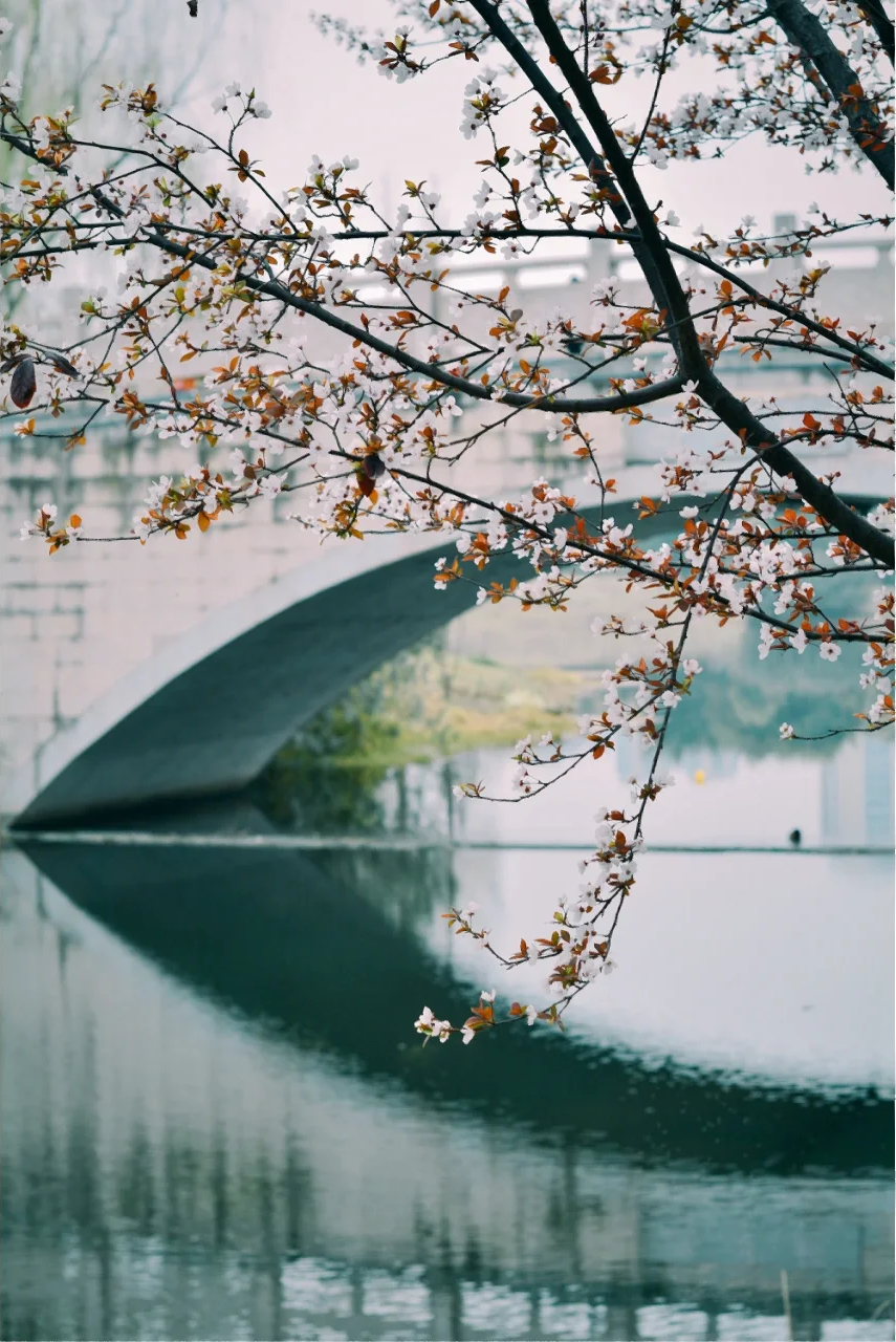 Image related to Meishan, Sichuan: As Laid-back as Chengdu, As Delicious as Leshan