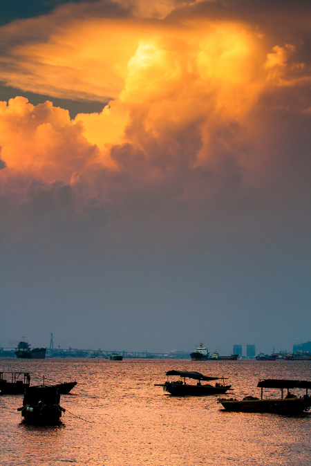 Image related to Zhanjiang: The Hidden Foodie Paradise Where $70 Buys 3 Days of Feasting – Wild Flavors Outshine Chaoshan, Gaining 8 Pounds in a Week is Worth It!