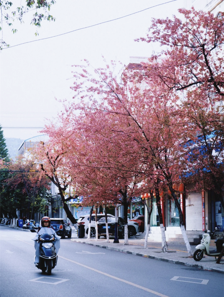 Baoshan, Yunnan: The Overlooked Slow City Quieter than Lijiang, as Charming as Xishuangbanna, and Perfect for a Summer Escape