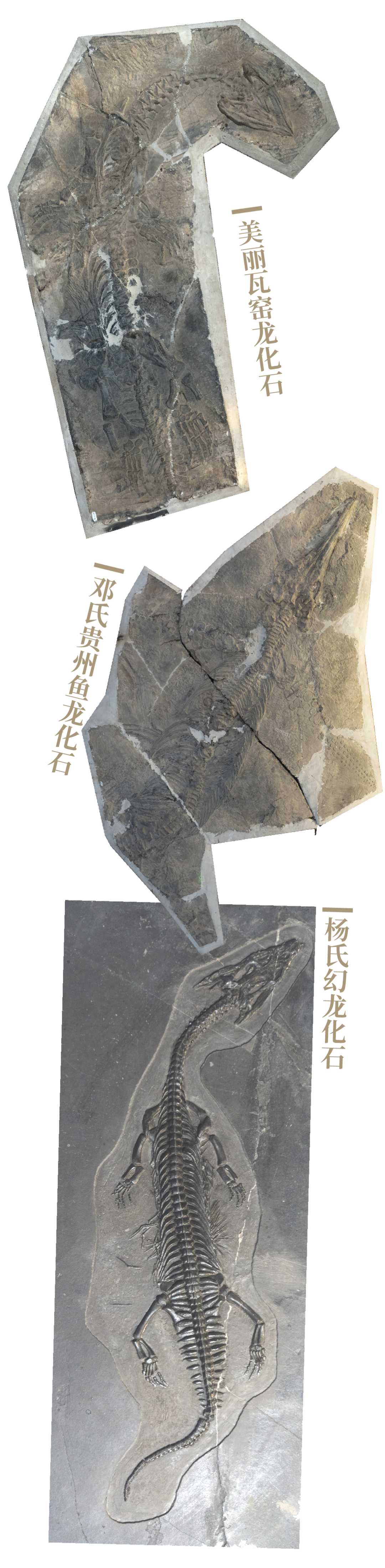 Image related to Why Is Guizhou China's Top Summer Retreat?