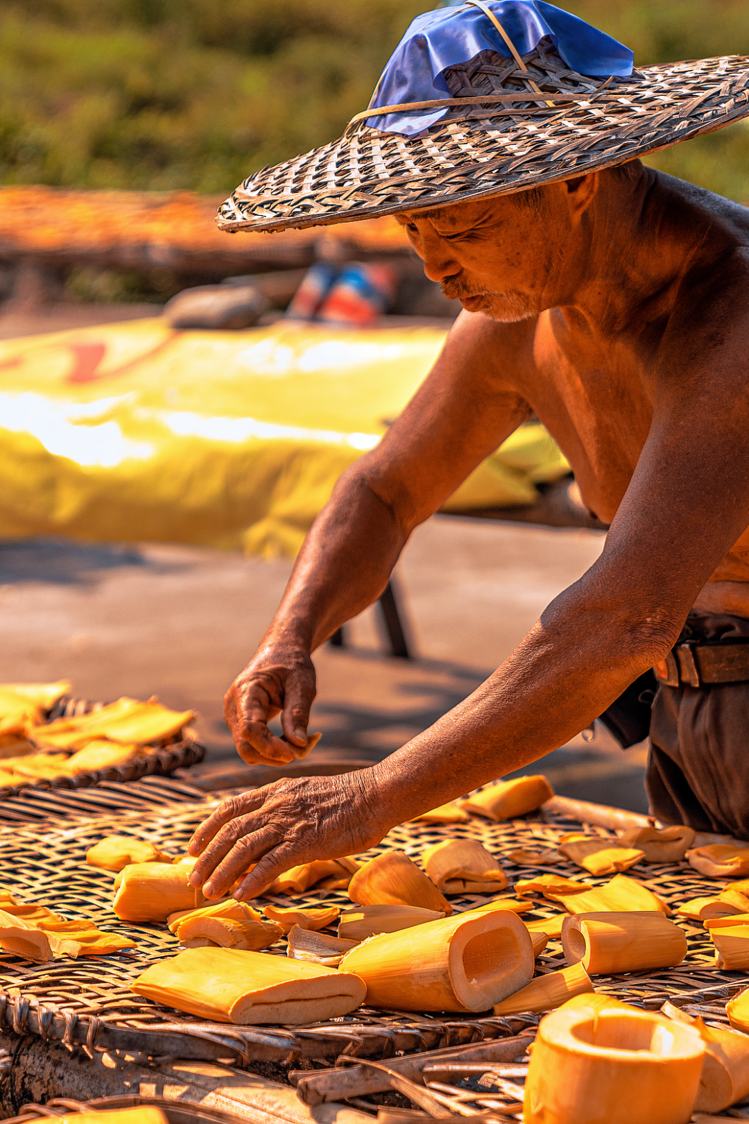 Image related to China's Spring Delicacy: Even More Delicious Than Meat!