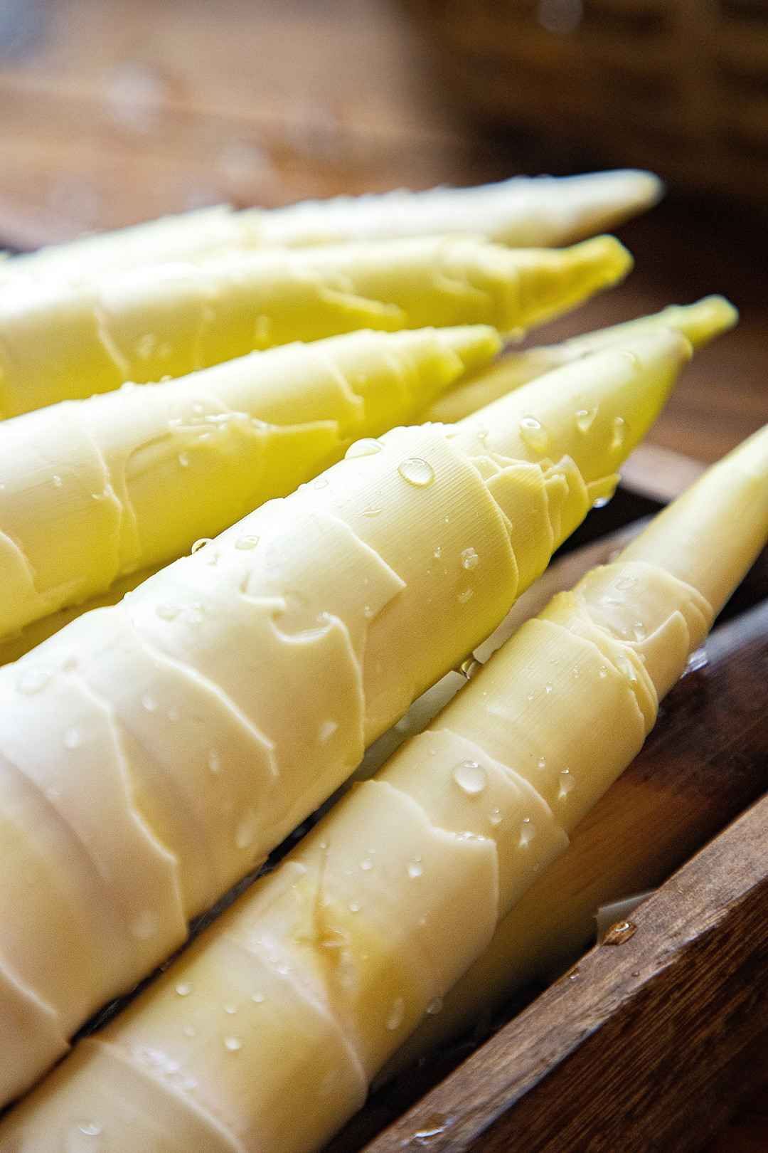 Image related to China's Spring Delicacy: Even More Delicious Than Meat!