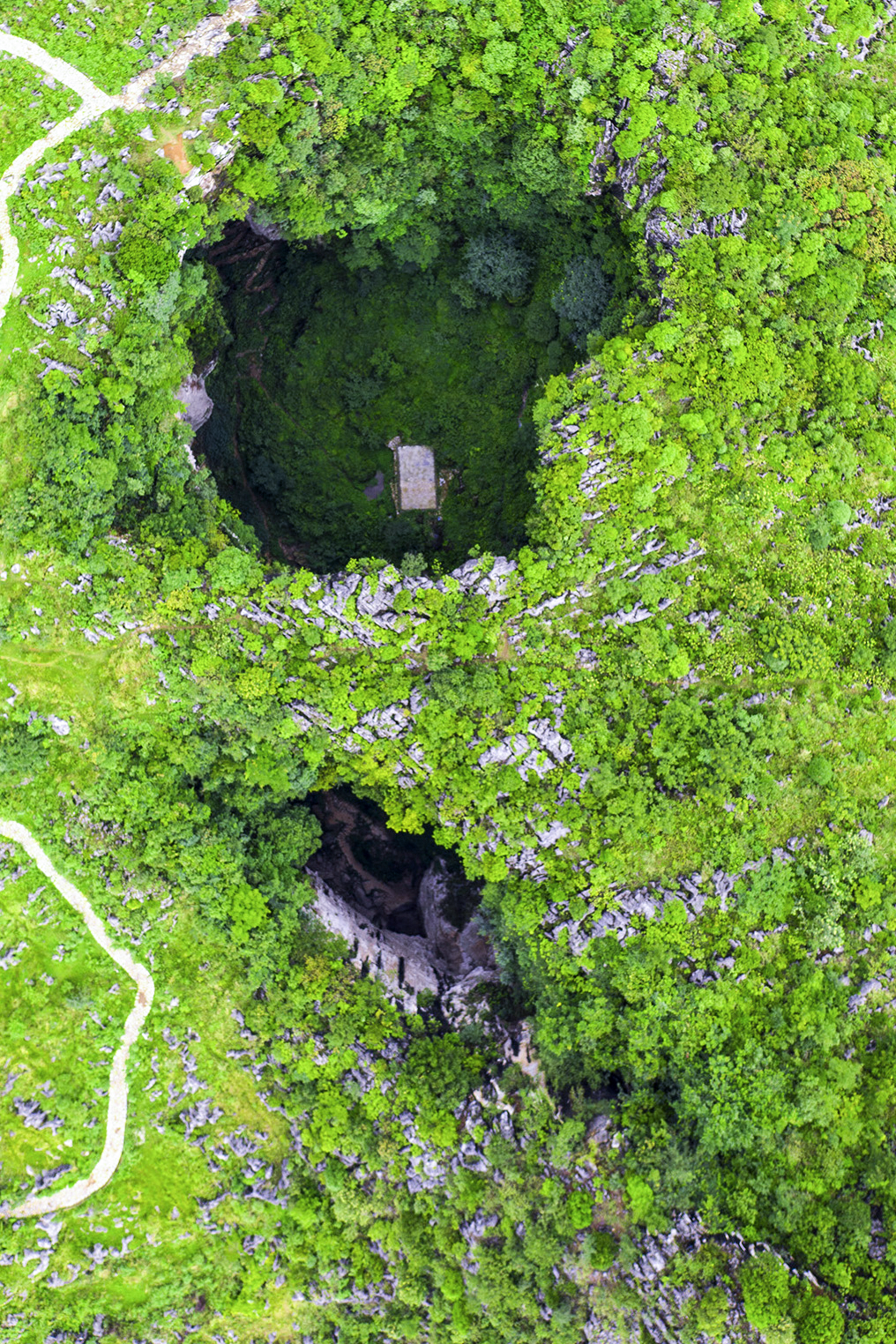 Image related to Green, Green, Green! Tune in to the Mountainous Province's Green Rhapsody!