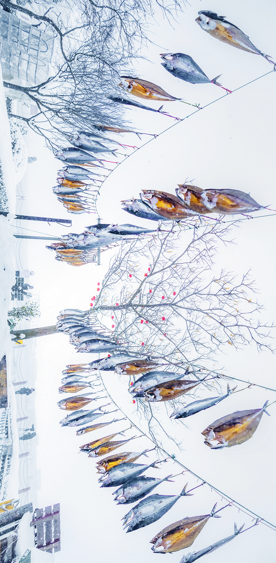 Image related to This Shandong "Snow Hub" Rivals Northeast China, Trending Year After Year!