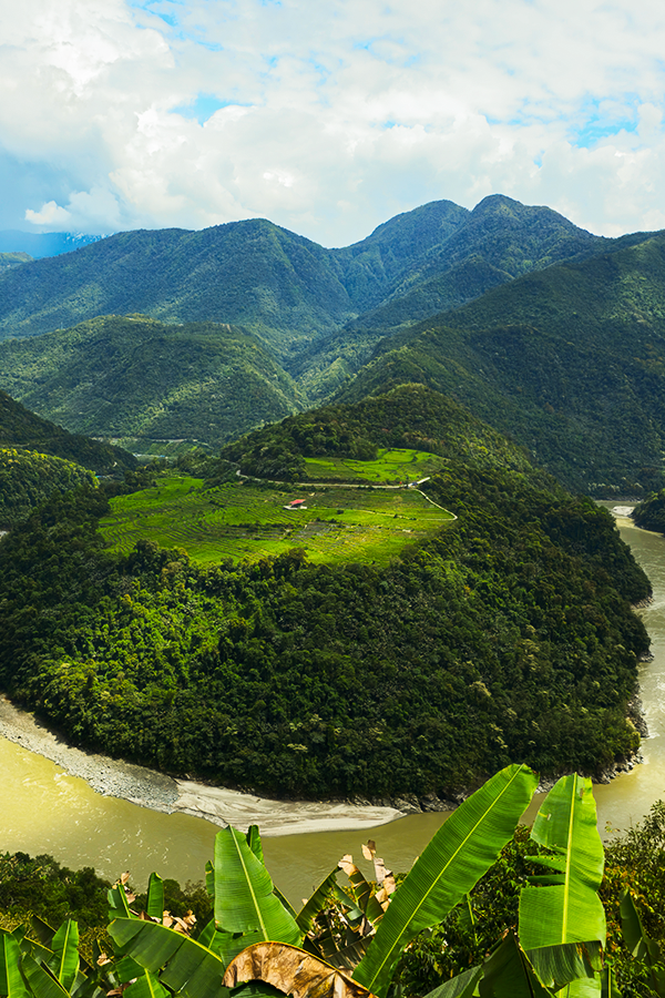 Image related to What Is a Land of Symbiosis? It's Breaking Cocoons, Howling Gibbons, Every Creature Across a 7,000-Meter Elevation Drop