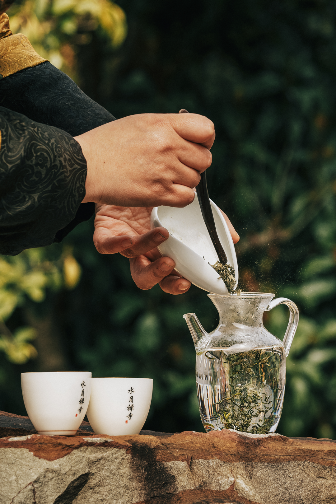 Image related to Where in China Grows the Finest Pre-Qingming Spring Tea?