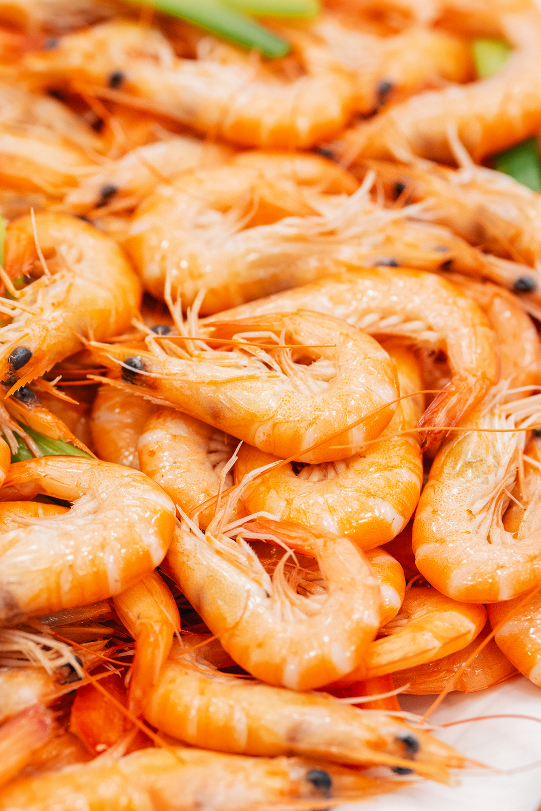 Image related to Guangdong's Youngest City: A Culinary Gem Rivaling Shunde and Chaoshan