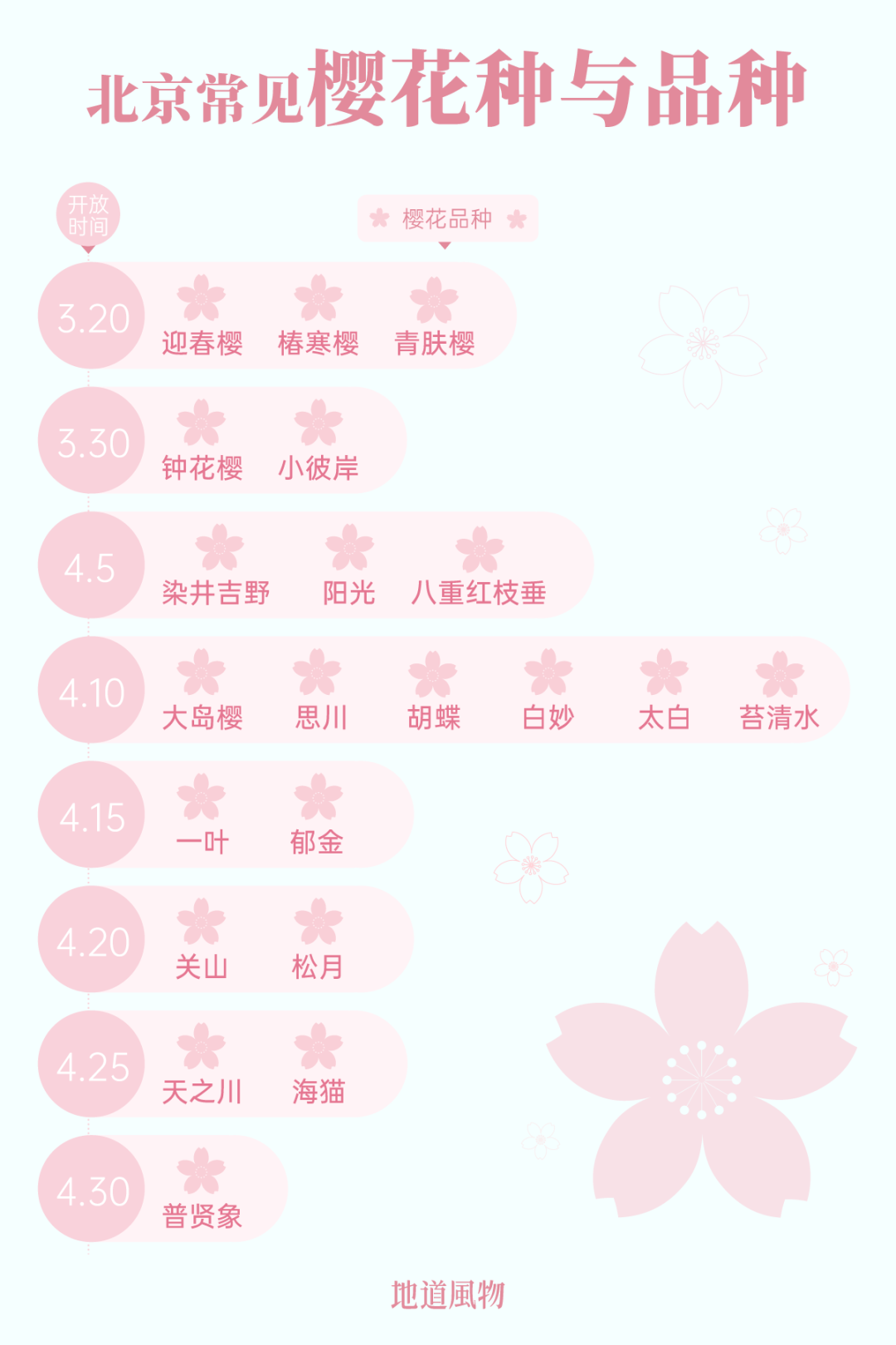 Image related to China's Cherry Blossom Map: Where to Find the Most Stunning Sakura?