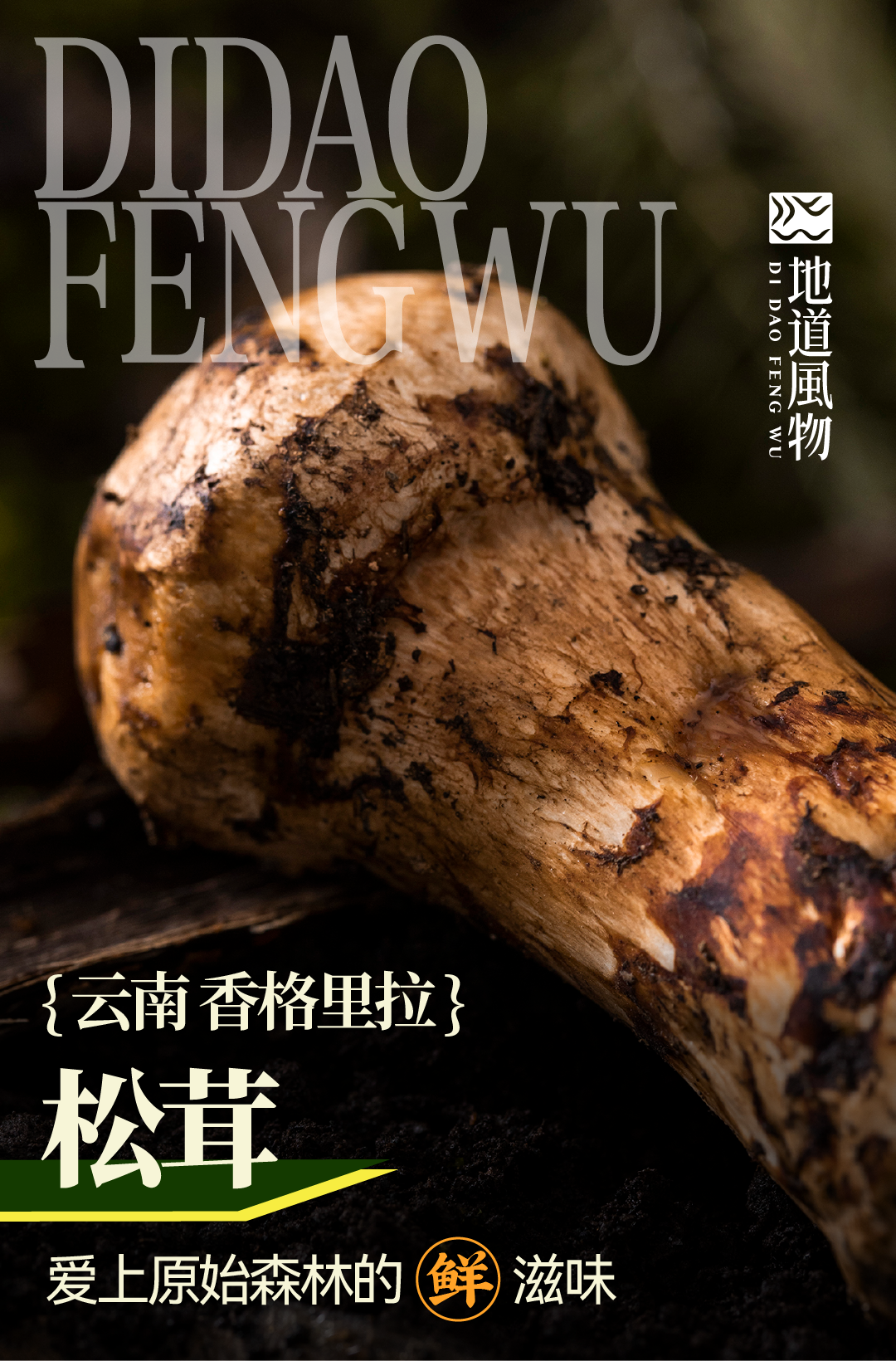 Southwest China's Summer Delicacy: Available Only One Month a Year