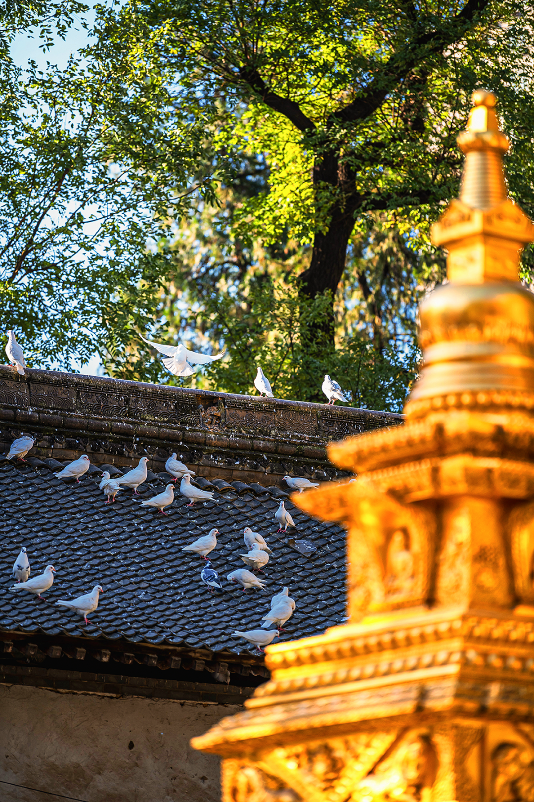 Image related to All of China Awaits Its Snowfall: How This Hidden Top Citywalk Destination Charms Explorers