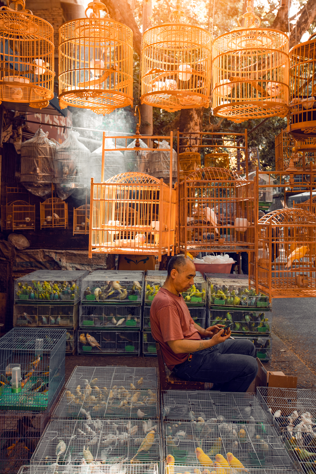 Image related to All of China Awaits Its Snowfall: How This Hidden Top Citywalk Destination Charms Explorers