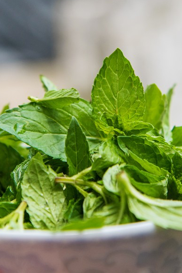 Image related to This Chinese Province Reigns Supreme in Cilantro Consumption – Second Place Doesn't Even Come Close!