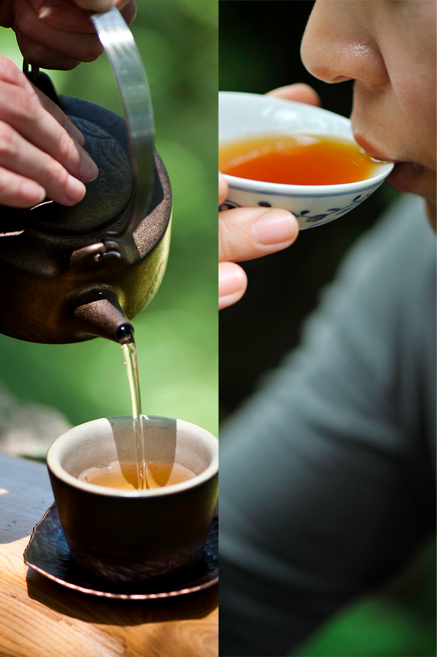 Image related to April Calls for Tea: A Guide to China's Freshest Spring Tea Origins