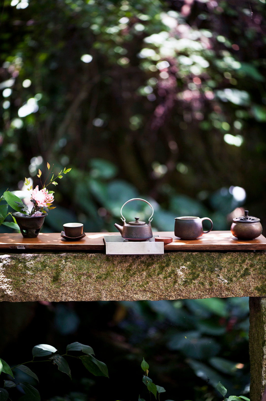 Image related to April Calls for Tea: A Guide to China's Freshest Spring Tea Origins