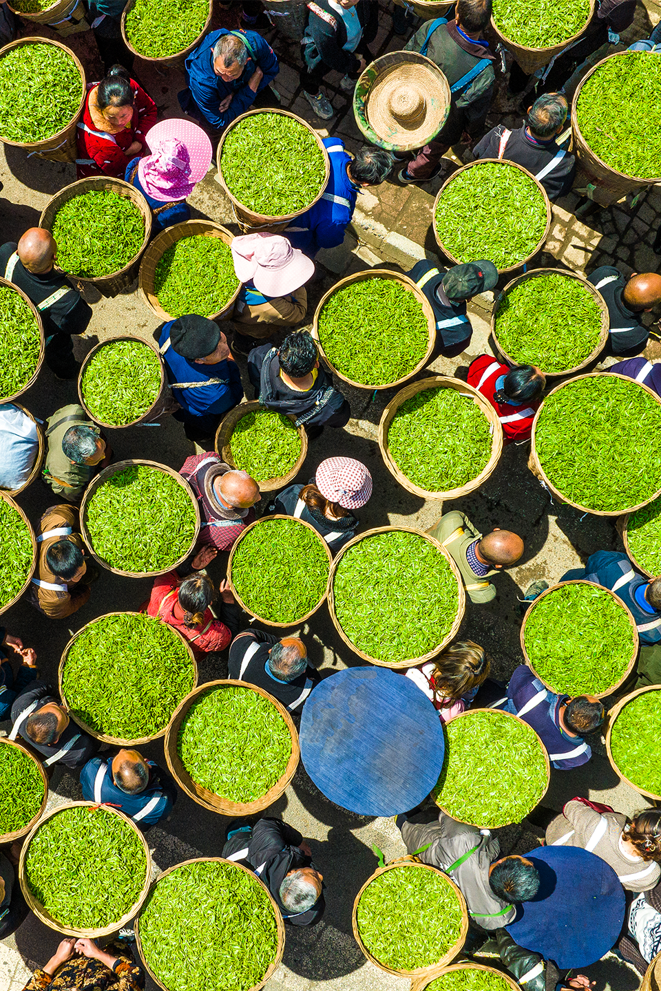 Image related to April Calls for Tea: A Guide to China's Freshest Spring Tea Origins