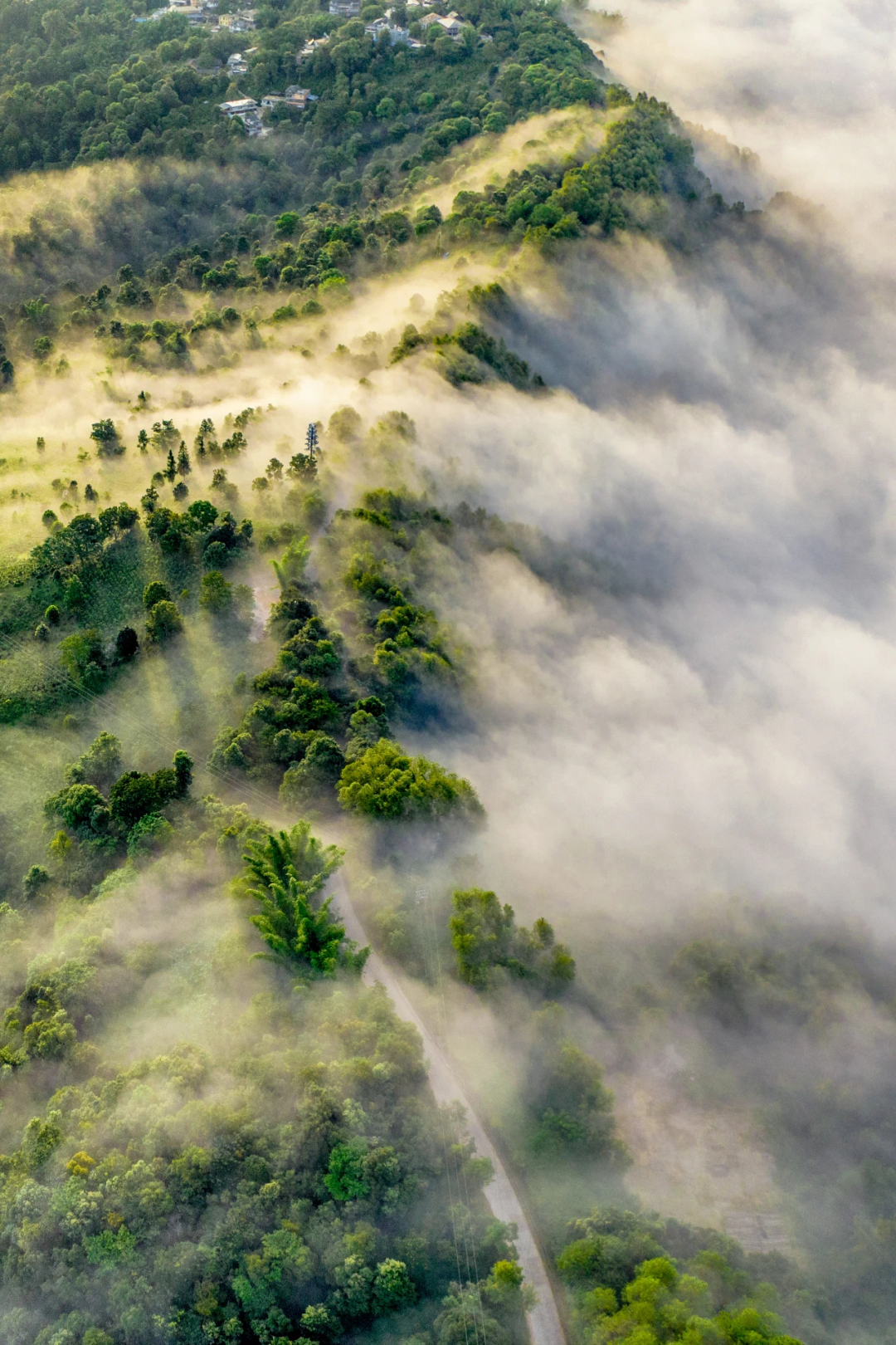 Image related to April Calls for Tea: A Guide to China's Freshest Spring Tea Origins