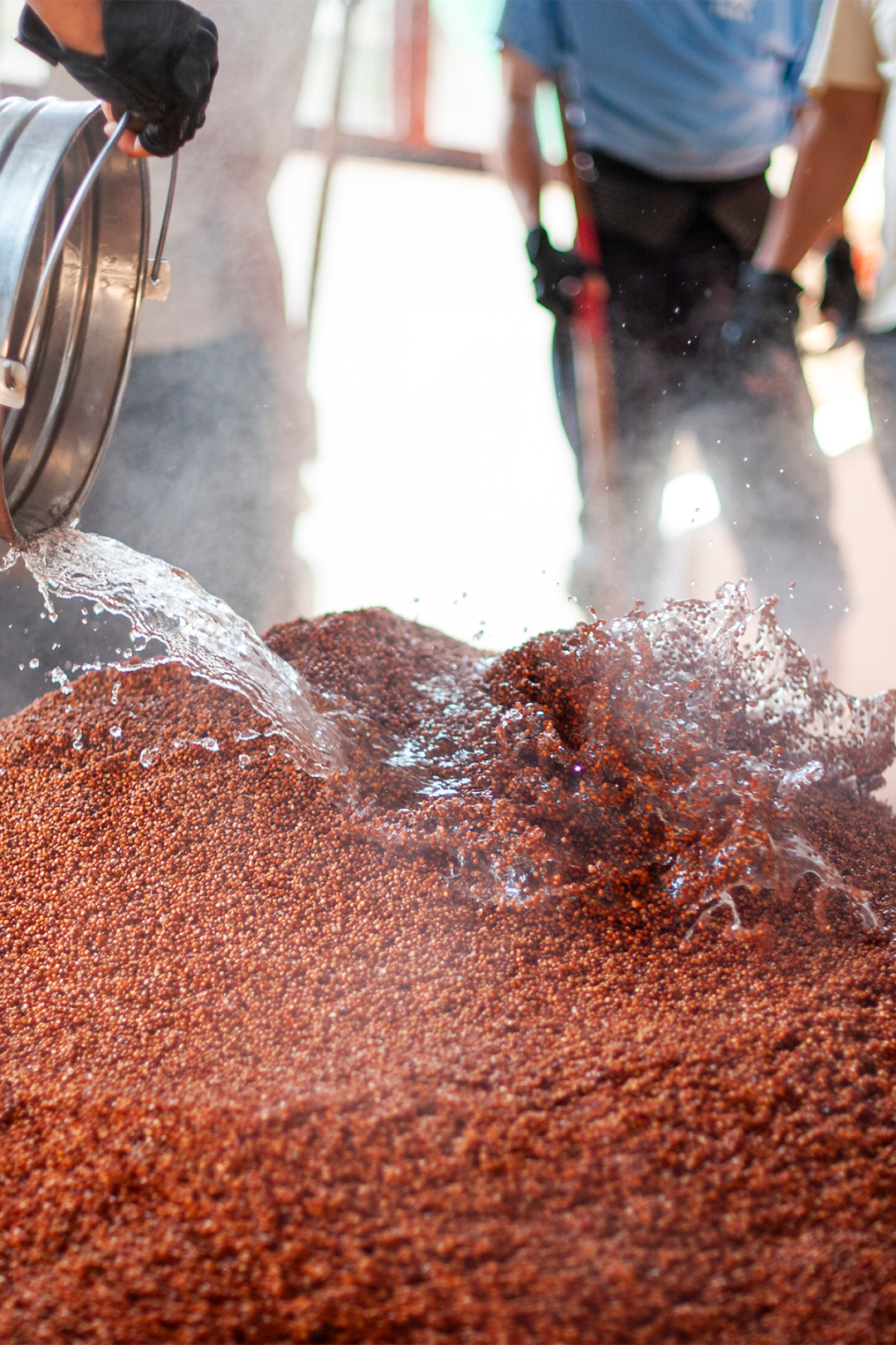 Image related to Explore Danxia's World Heritage, Savor Fine Wines: How Enchanting is a Winter Getaway in Guizhou?