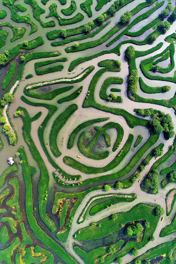 Image related to Jiangsu's Largest City: Even Sweeter Than Suzhou and Yangzhou!