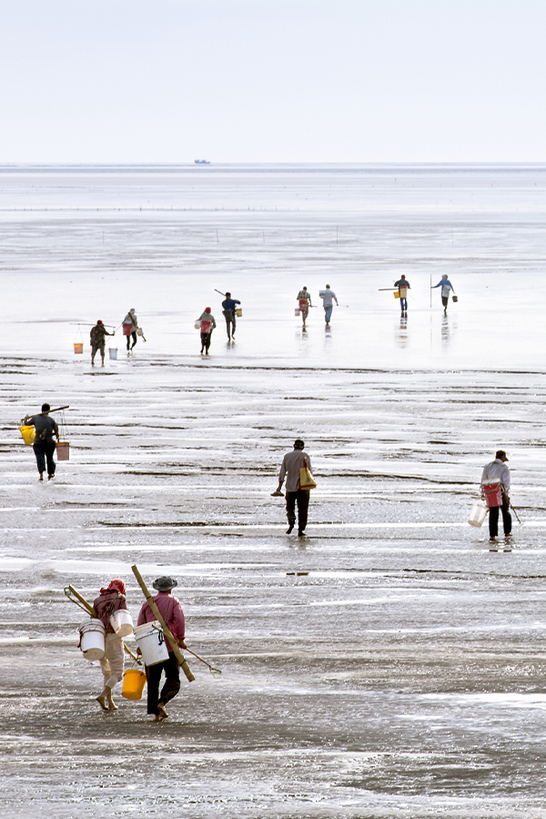 Image related to Jiangsu's Largest City: Even Sweeter Than Suzhou and Yangzhou!