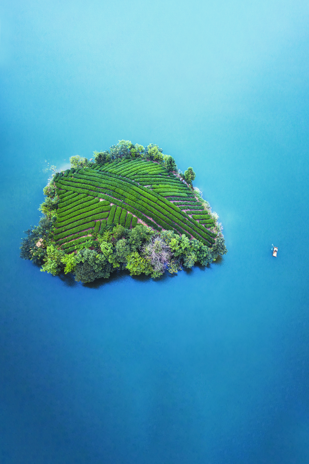 Image related to The Ultimate Spring Tea Map: China's Most Beautiful Springscapes Revealed