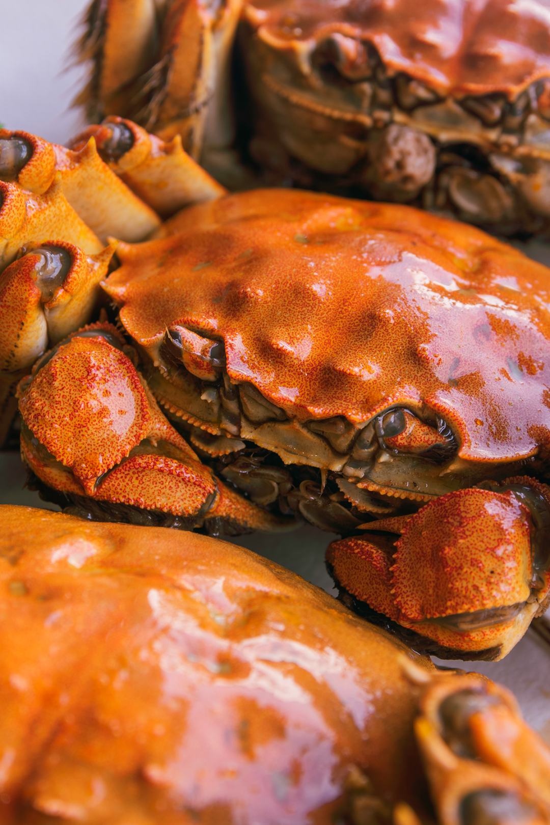 Image related to Guess What? The Most Expensive Chinese New Year's Eve Dinner Is Actually in Northeast China?