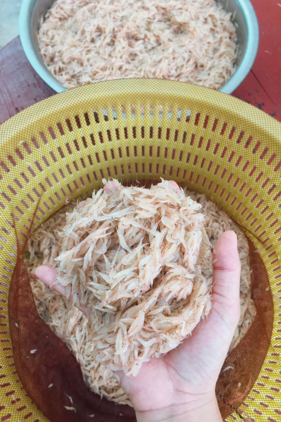 Image related to How This Small Shandong Town Devours the Rustiest Seafood