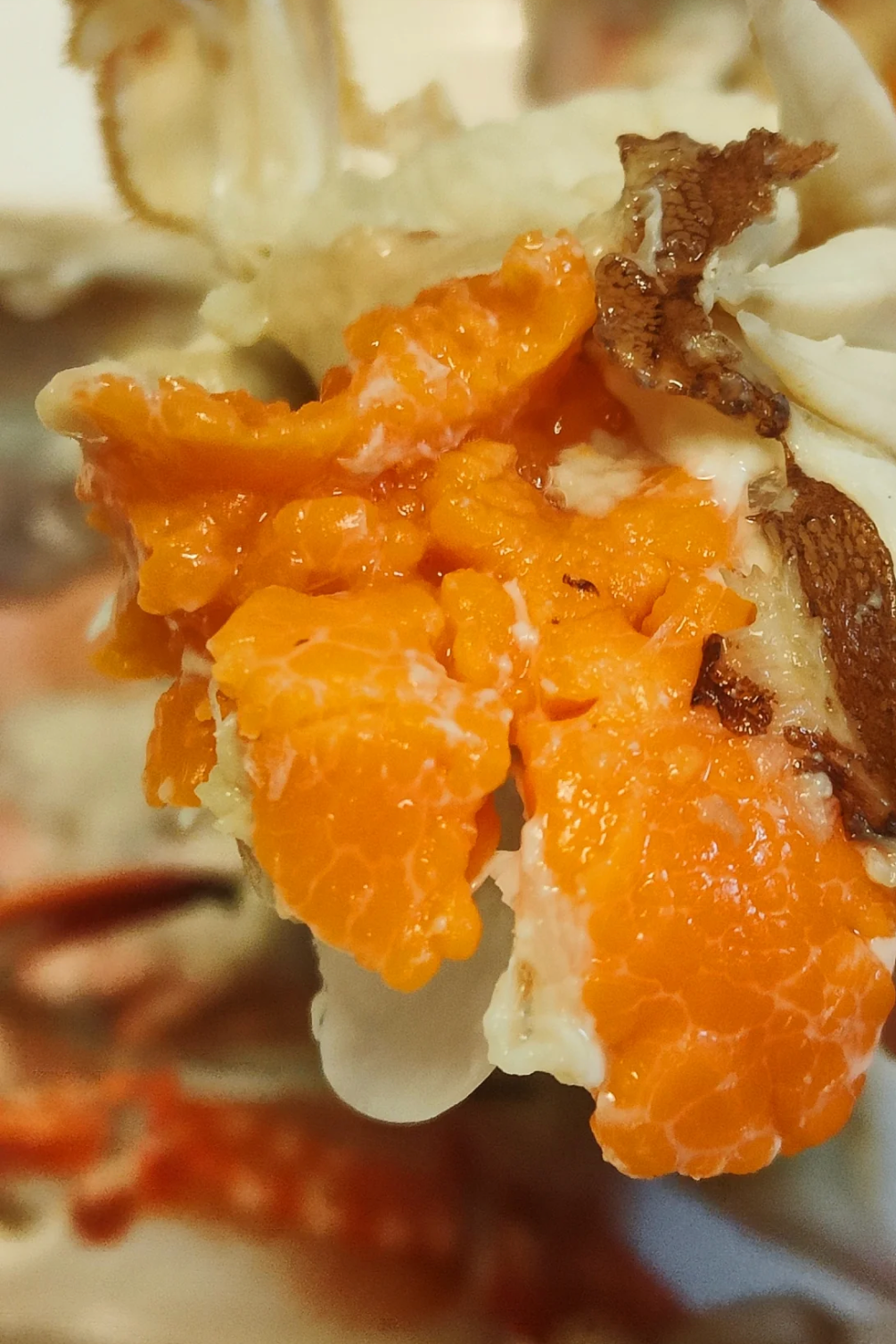 Image related to How This Small Shandong Town Devours the Rustiest Seafood