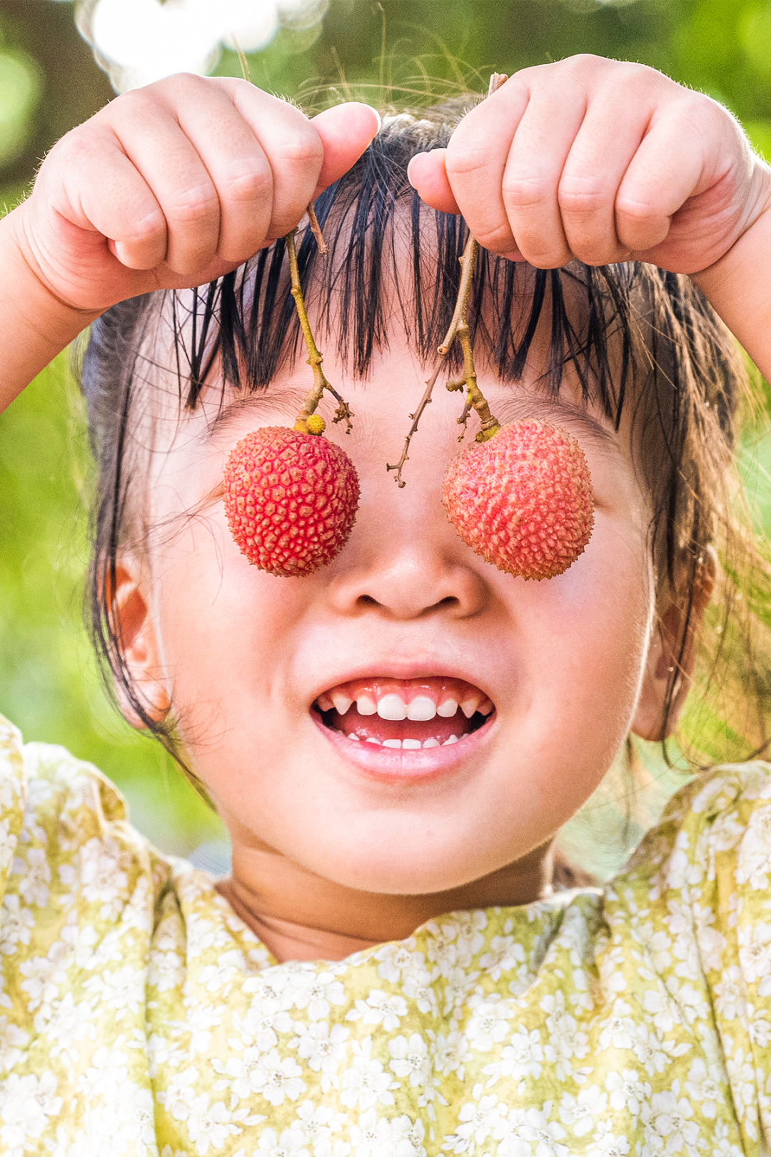 Image related to China's Most Underrated Lychee Province Safeguards This Year's Bountiful Harvest