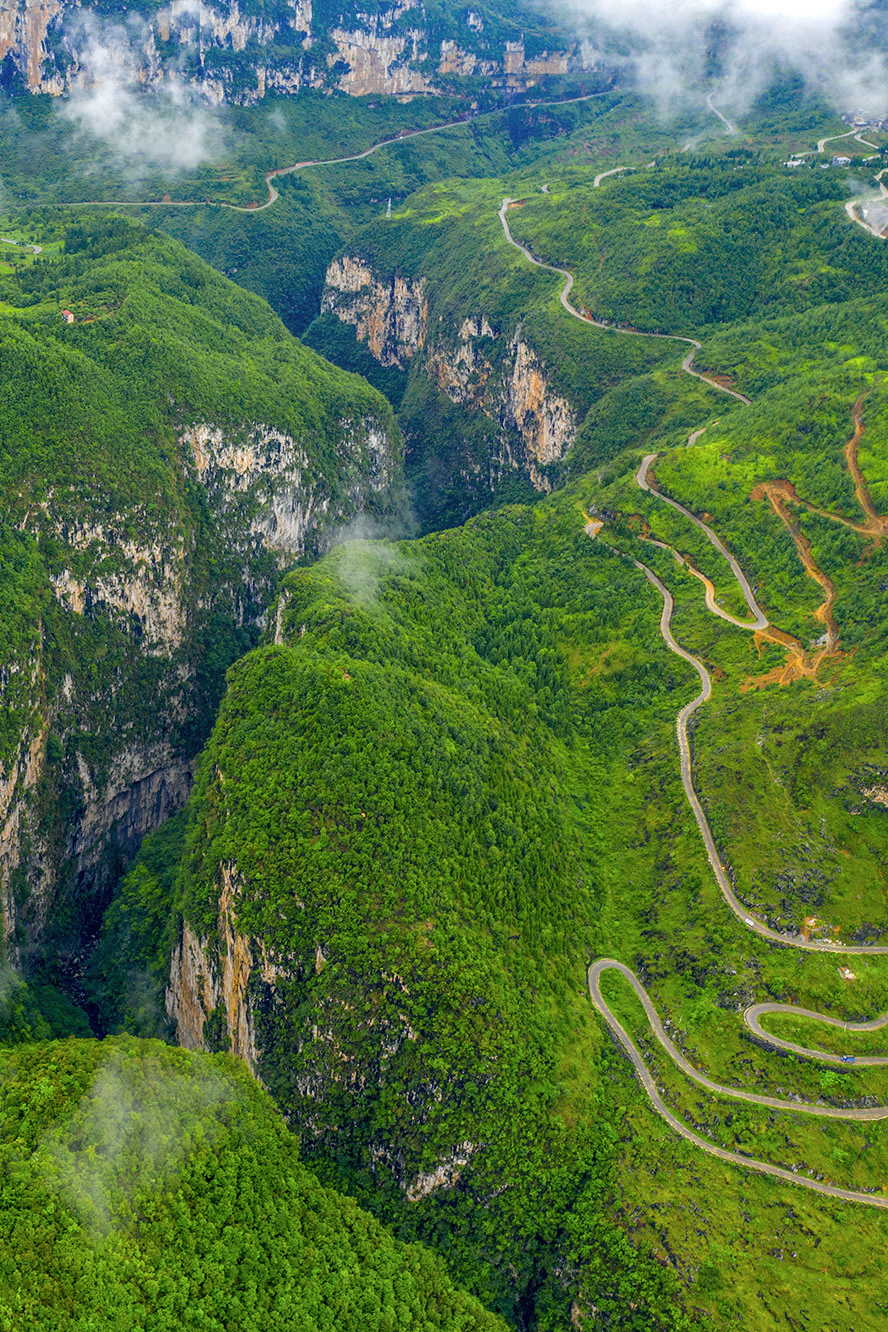 Image related to Green, Green, Green! Tune in to the Mountainous Province's Green Rhapsody!