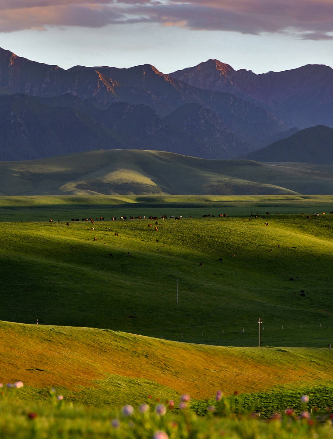 Image related to Feature: Journey Through the Hexi Corridor in Northwest China
