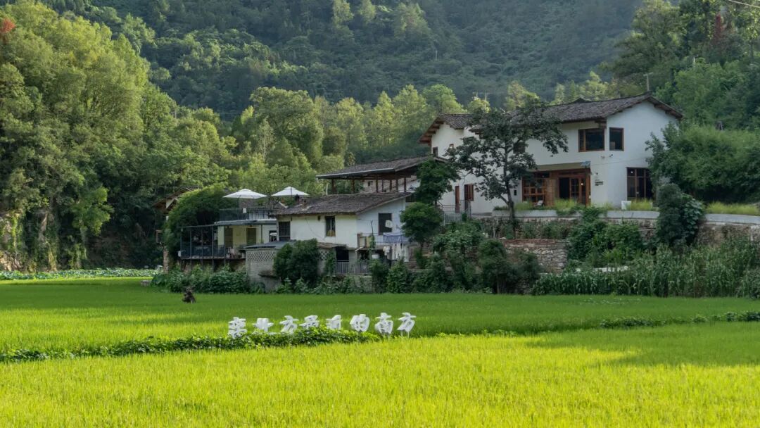 Image related to Will the Qinling Mountains Become the Next Songtsam-Style Travel Route?