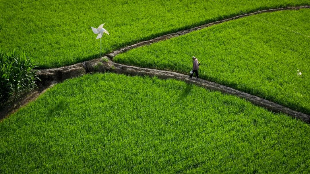 Image related to Will the Qinling Mountains Become the Next Songtsam-Style Travel Route?