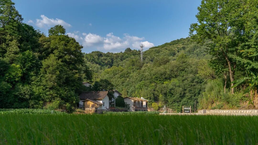 Image related to Will the Qinling Mountains Become the Next Songtsam-Style Travel Route?