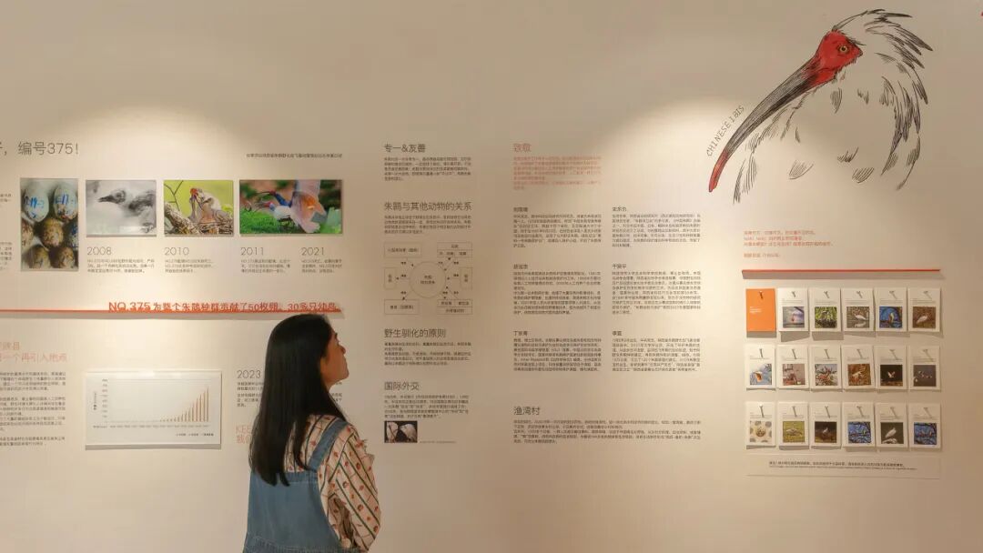 Image related to Will the Qinling Mountains Become the Next Songtsam-Style Travel Route?