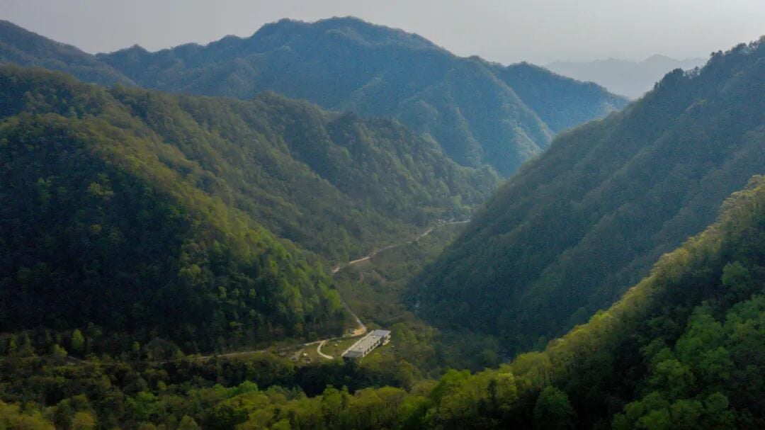 Image related to Will the Qinling Mountains Become the Next Songtsam-Style Travel Route?