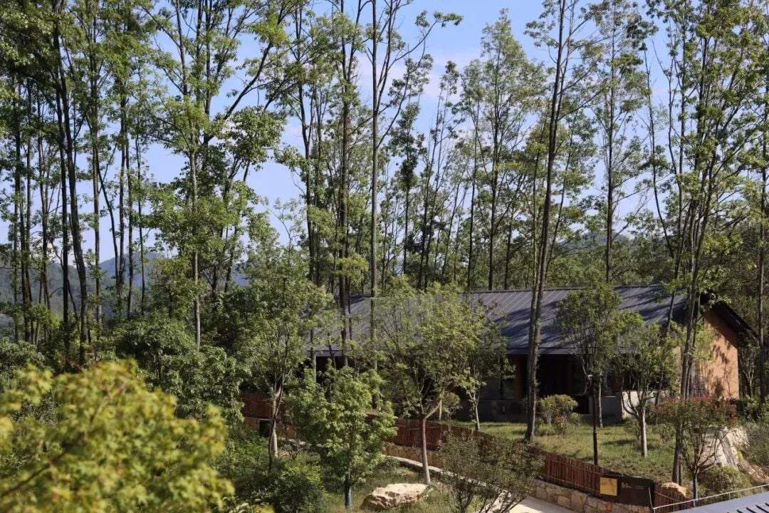 Image related to Will the Qinling Mountains Become the Next Songtsam-Style Travel Route?